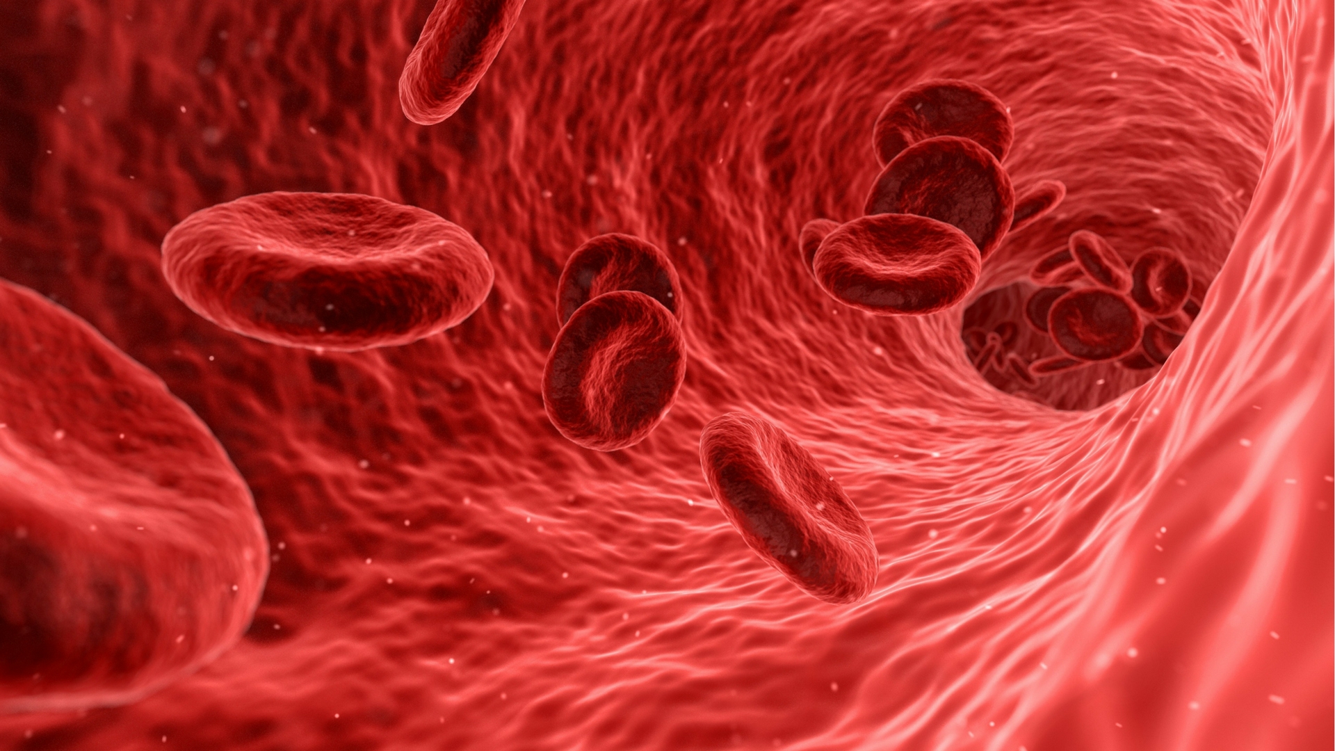 Scientists develop an automated device to track red and white blood cells